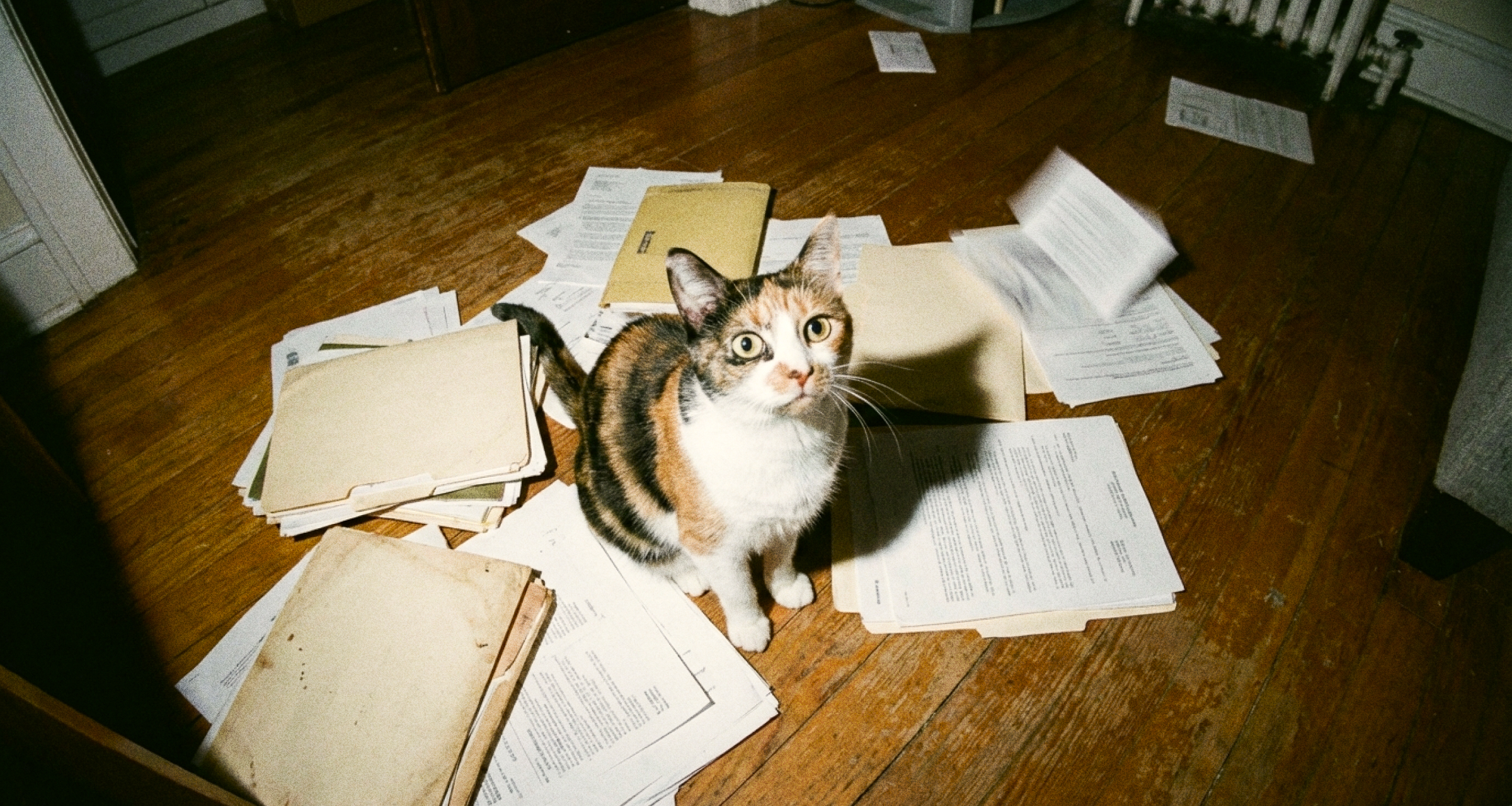 Как вести учет запасов по ФСБУ 5/2019